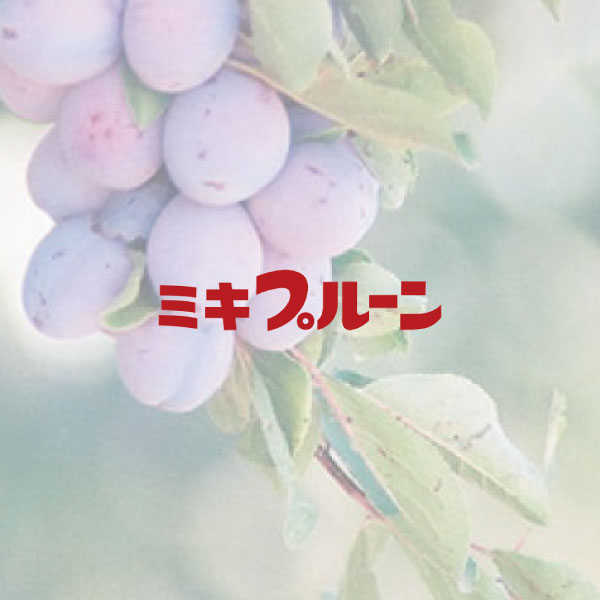 ダチョウ抗体が花粉をブロック！ミキダチョウ抗体マスク