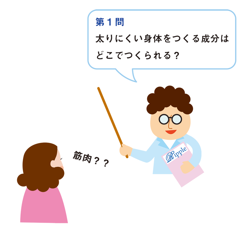 ハカセが解決！太りにくい身体をつくるには？！