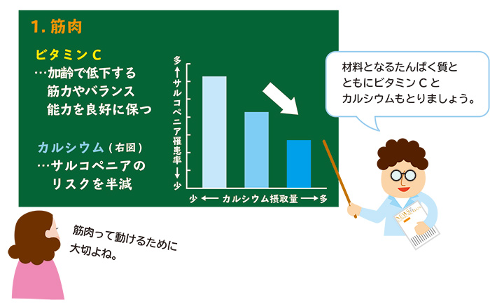 ビタミンCとカルシウム