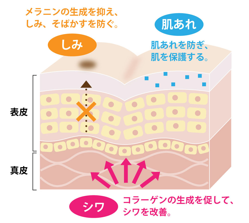 肌図