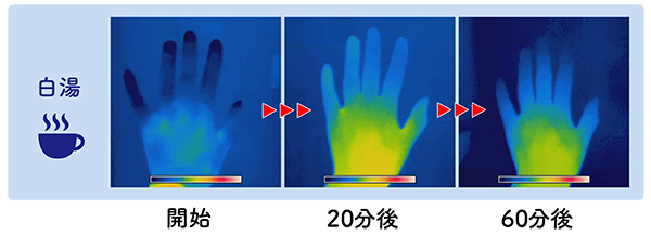 血流改善実験で白湯を飲んだ時