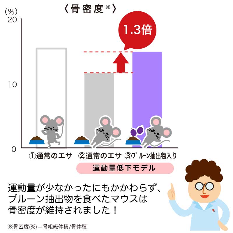 プルーン抽出物を摂取したときの骨量の変化