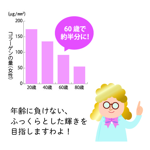 コラーゲン量の年代別変化とハカセーヌさん