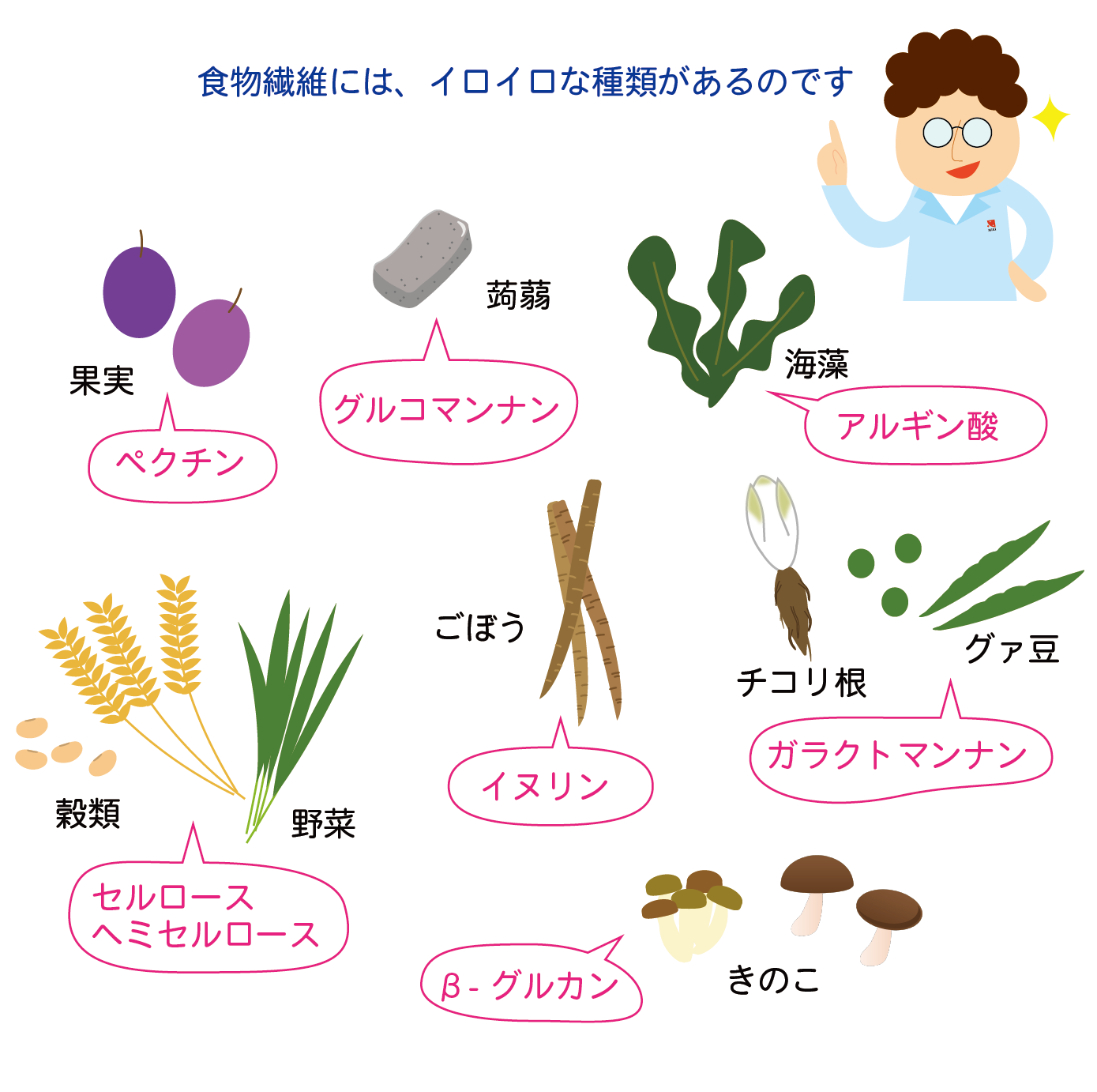 食物繊維〜とり方のコツとは？