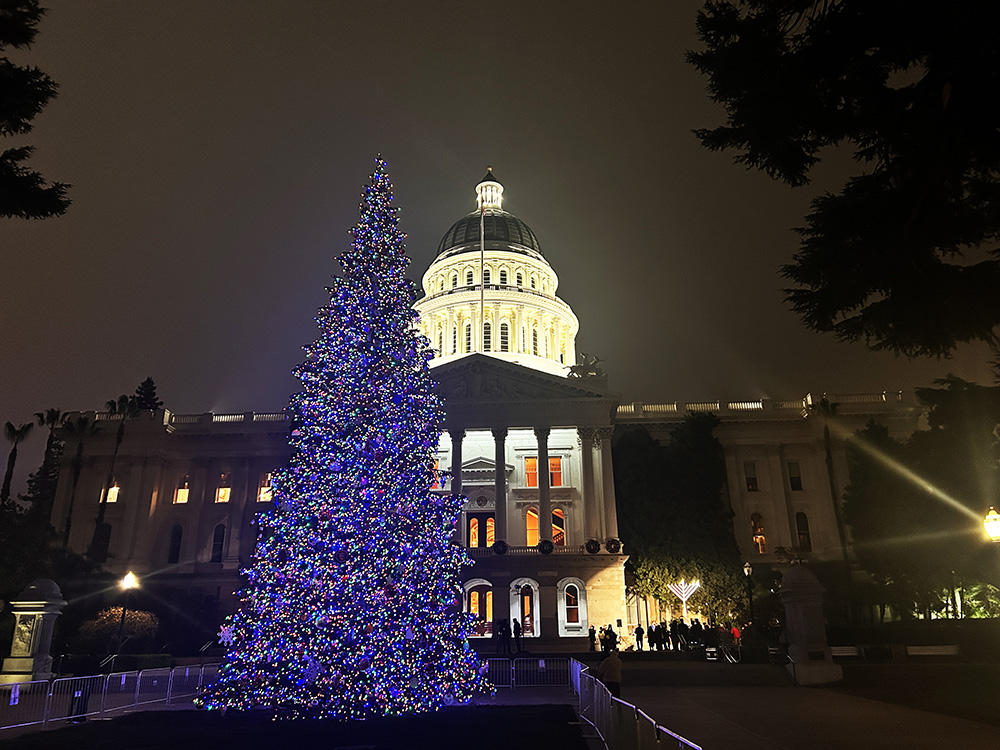 ミキプルーン農園からクリスマスのご挨拶です＊☆