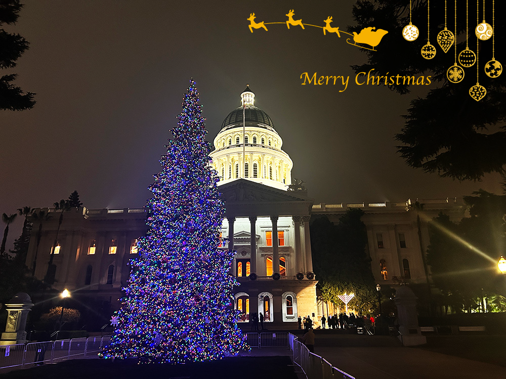 ミキプルーン農園からクリスマスのご挨拶です＊☆